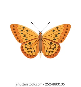 Fritillary Butterfly insect isolated flat vector illustration white background.
