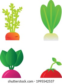 Friut and Vegetable Vector Illustration