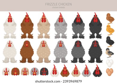 Frizzle Chicken breeds clipart. Poultry and farm animals. Different colors set.  Vector illustration