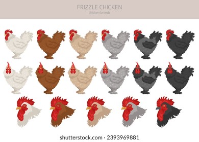 Frizzle Chicken breeds clipart. Poultry and farm animals. Different colors set.  Vector illustration