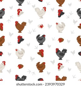 Frizzle Chicken breeds seamless pattern. Poultry and farm animals. Different colors set.  Vector illustration