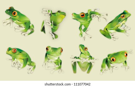 frog