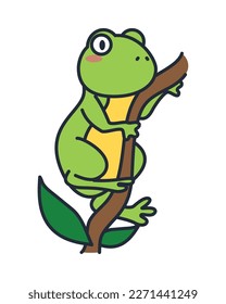 frog amphibian in branch character