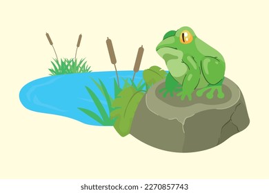 frog amphibian in stone lake scene