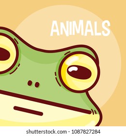 Frog animal cartoon