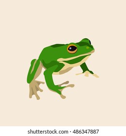 Frog animal isolated vector illustration