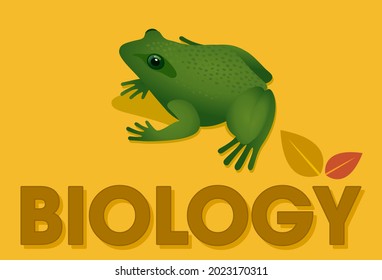 Frog animal vector biology illustration