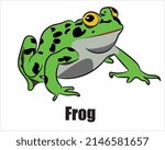 frog animal vector design eps