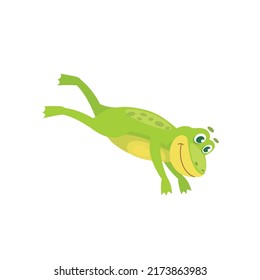 a frog animal vector illustration