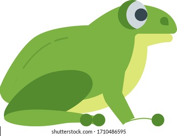 frog animal vector illustration icon flat design