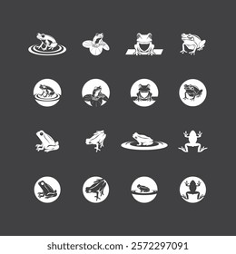 Frog Art Cartoon  Illustration with black background