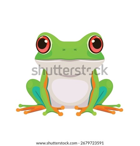 Frog with big eyes and a friendly demeanor, sitting upright and facing forward. Its smooth, skin light-colored belly are clearly visible against a plain white background.