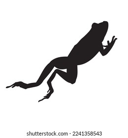 Frog black isolated silhouette on white background. Amphibian Vector illustration.