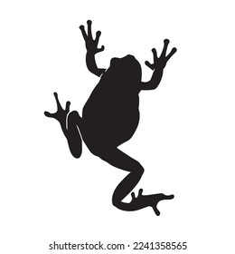 Frog black isolated silhouette on white background. Amphibian Vector illustration.