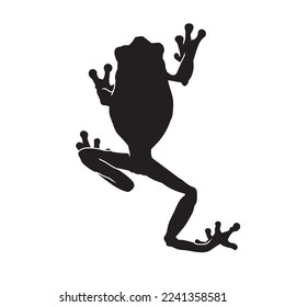 Frog black isolated silhouette on white background. Amphibian Vector illustration.