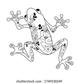 Frog black outline. Frog coloring book for adults vector illustration. Isolated on white background. 