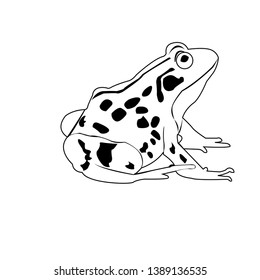 frog black and white icon animal
