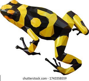 una rana con manchas negras y amarillas