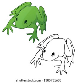 Frog in both full color green tones and black outline version isolated vector illustration
