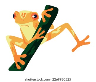 frog in branch exotic animal