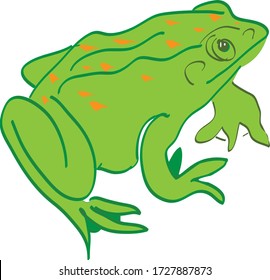 the frog .bright cartoon animal.isolated on a white background.vector.