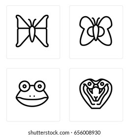 Frog, butterfly and snake