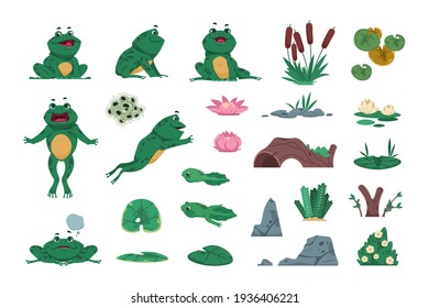 Frog. Cartoon amphibian with pond and river plants. Growth steps of life cycle. Isolated wild animals sitting or jumping. Lotus flowers and water lily leaves. Vector croaking toads set