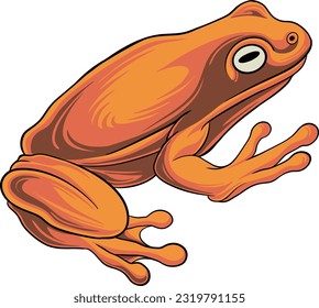 Frog cartoon character isolated on white background