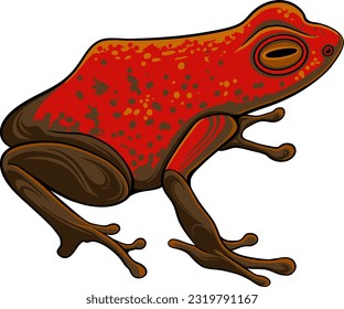 Frog cartoon character isolated on white background