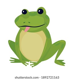 frog cartoon design, Animal zoo life nature and character theme Vector illustration