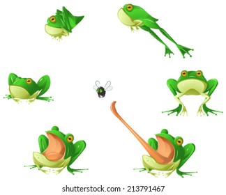 Frog cartoon design element set, isolated vector 