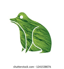 Frog cartoon graphic vector