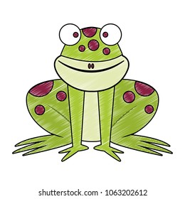 Frog cartoon isolated