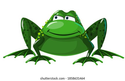 Frog in cartoon style isolated on white background. A big, funny animal sitting. Vector.