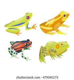 Frog cartoon tropical animal and green frog cartoon nature icons