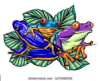 Frog cartoon tropical animal cartoon nature icon funny and isolated mascot character wild funny forest toad amphibian illustration.