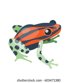 Frog cartoon tropical green red animal cartoon nature icon funny and isolated mascot character wild funny forest toad amphibian vector illustration.