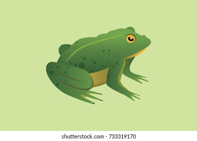 Frog Cartoon Vector Illustration isolated. tropical animal