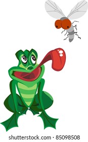 Frog Catching Bug vector