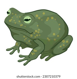 Frog clipart isolated on white. Cartoon style drawing of amphibian wild animal. Halloween creepy fauna modern vector illustration..