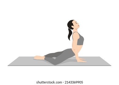 Frog Cobra Pose. Beautiful girl practice Bheka Bhujangasana. Young attractive woman practicing yoga exercise. working out, black wearing sportswear, grey pants and top, indoor full length, calmness