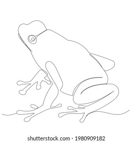 frog continuous line drawing, sketch, isolated, vector