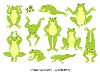 Rana lindo set, graciosos y felices personajes de rana verde croak salto salto salto salto salto colección de sueño