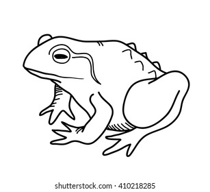 Frog Doodle, a hand drawn vector doodle illustration of a frog.