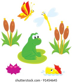 frog, dragonfly, butterfly, fish, water lily and cane
