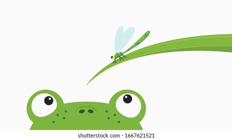 Frog and Dragonfly cartoon vector. Dragonfly Perch on a leaves. Dragonfly vector.