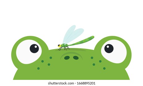 Frog and Dragonfly cartoon vector. Dragonfly perch on a frog. Dragonfly vector.