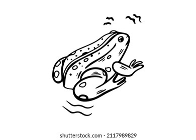 A frog drawn with a black outline. Vector graphics
