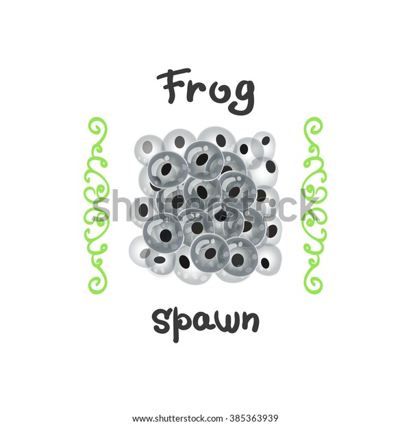 Frog eggs as a\
delicacy. Fertilized clutches, frog-spawn or of a large fish. The\
egg of a reptile, a delicacy illustration in vector. Breeding frogs\
occur in a variety of\
ways.