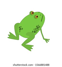 frog familiar for Halloween vector image